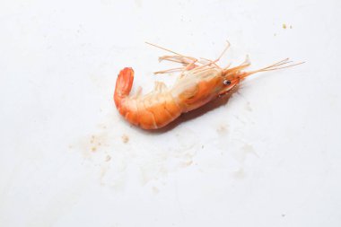 İştah açıcı ızgara karides, dev tatlı su karidesi, tatlı su karidesi, dev nehir karidesi (Macrobrachium rosenbergii) beyaz stüdyo arka planında izole edilmiştir. Lezzetli iştah açıcı yemekler. Üst görünüm