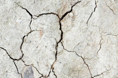 dry cracked soil texture and cracked brown mud surface .the ground has cracks in the top view for the background or graphic design with the concept of drought and death. horizontal image clipart