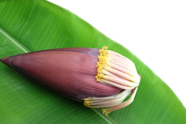 Banana blossom with banana leaves placed isolate on a white backdrop.top view.Banana blossom Healthy Food vegetarian food