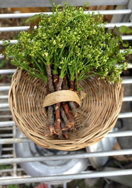 Taze çiğ bir Şifalı Neem çiçeği ve yaprakları veya, Siyam, Neem, Neem ağacı, Nim, Margosa, Quinine, (Azadirachta indica) bir sepette yalıtılır. Sağlıklı sebzeler, gıda malzemeleri ve bitkisel malzemeler