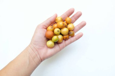 Birkaç küçük jube (Ziziphus mauritiana Lam), jujujube, Chinese jube, Indian jujube. Bu doğal bir jujube ve çok lezzetli bir tadı var.