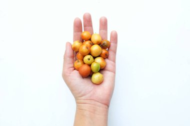 Birkaç küçük jube (Ziziphus mauritiana Lam), jujujube, Chinese jube, Indian jujube. Bu doğal bir jujube ve çok lezzetli bir tadı var.