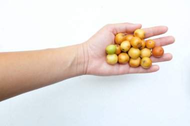Birkaç küçük jube (Ziziphus mauritiana Lam), jujujube, Chinese jube, Indian jujube. Bu doğal bir jujube ve çok lezzetli bir tadı var.