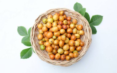 Birkaç küçük jube (Ziziphus mauritiana Lam), jujujube, Çin jube, Hint jujubesi.sepete konur. Bu doğal bir jujube ve çok lezzetli bir tadı var.