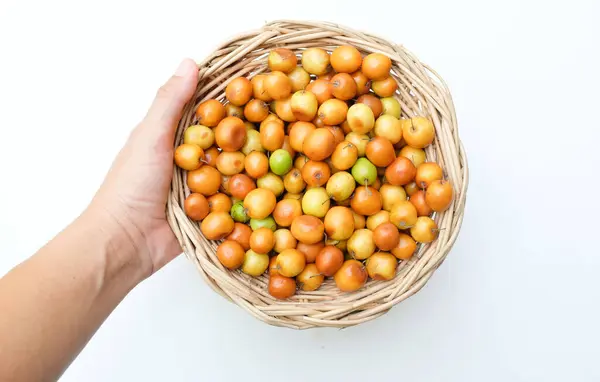 Birkaç küçük jujube (Ziziphus mauritiana Lam), jujube, Çin jujujube, Hint jujubesi.Bunlar sepete konur.. 