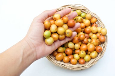 Birkaç küçük jujube (Ziziphus mauritiana Lam), jujube, Çin jujujube, Hint jujubesi.Bunlar sepete konur.. 