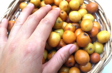 Birkaç küçük jujube (Ziziphus mauritiana Lam), jujube, Çin jujujube, Hint jujubesi.Bunlar sepete konur.. 