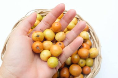 Birkaç küçük jujube (Ziziphus mauritiana Lam), jujube, Çin jujujube, Hint jujubesi.Bunlar sepete konur.. 
