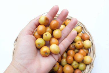 Birkaç küçük jujube (Ziziphus mauritiana Lam), jujube, Çin jujujube, Hint jujubesi.Bunlar sepete konur.. 