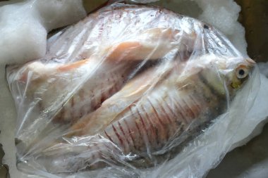 Dondurucu bölmede çiğ patates kızartmasını kapat. Donmuş yiyecekler. Buzdolabında farklı dondurulmuş etler olan plastik poşetler. Yiyecek uzun bir depo.