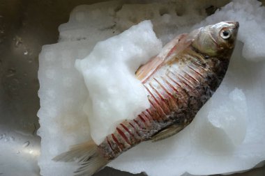 Dondurucu bölmede çiğ patates kızartmasını kapat. Donmuş yiyecekler. Buzdolabında farklı dondurulmuş etler olan plastik poşetler. Yiyecek uzun bir depo.