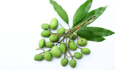 Bir demet taze çiğ organik mango (Mangifera indica L. Var.) Beyaz arka planda yaprakları olan meyveler. Tropikal egzotik meyve ve sağlıklı meyve