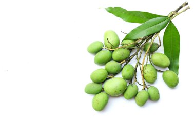 Bir demet taze çiğ organik mango (Mangifera indica L. Var.) Beyaz arka planda yaprakları olan meyveler. Tropikal egzotik meyve ve sağlıklı meyve