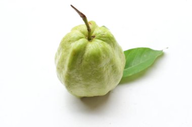 Taze yeşil çiğ guava (Psidium guajava L), yaprakları beyaz arkaplanda izole edilmiş. Tropikal egzotik meyve ve sağlıklı meyve