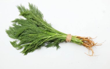  Taze yeşil Dill filizi, (Anethum Graveolens) sebze rezene dalı, bitki dalı, kokulu dereotu dalı beyaz bir arka damlada yalıtılır. Sağlıklı beslenme ve diyet yapan gıdalar tat veren bitki konsepti