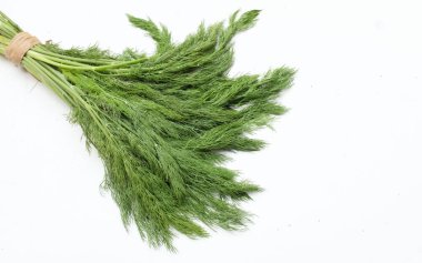  Taze yeşil Dill filizi, (Anethum Graveolens) sebze rezene dalı, bitki dalı, kokulu dereotu dalı beyaz bir arka damlada yalıtılır. Sağlıklı beslenme ve diyet yapan gıdalar tat veren bitki konsepti