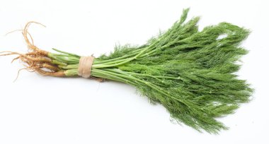  Taze yeşil Dill filizi, (Anethum Graveolens) sebze rezene dalı, bitki dalı, kokulu dereotu dalı beyaz bir arka damlada yalıtılır. Sağlıklı beslenme ve diyet yapan gıdalar tat veren bitki konsepti