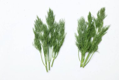  Taze yeşil Dill filizi, (Anethum Graveolens) sebze rezene dalı, bitki dalı, kokulu dereotu dalı beyaz bir arka damlada yalıtılır. Sağlıklı beslenme ve diyet yapan gıdalar tat veren bitki konsepti