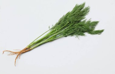  Taze yeşil Dill filizi, (Anethum Graveolens) sebze rezene dalı, bitki dalı, kokulu dereotu dalı beyaz bir arka damlada yalıtılır. Sağlıklı beslenme ve diyet yapan gıdalar tat veren bitki konsepti