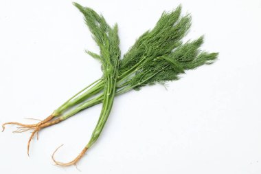  Taze yeşil Dill filizi, (Anethum Graveolens) sebze rezene dalı, bitki dalı, kokulu dereotu dalı beyaz bir arka damlada yalıtılır. Sağlıklı beslenme ve diyet yapan gıdalar tat veren bitki konsepti