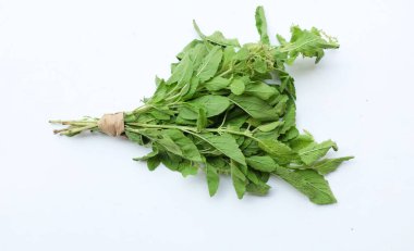 Bir demet taze yeşil fesleğen, kutsal fesleğen, kutsal fesleğen (Ocimum kutsal fesleğen) yaprakları. Beyaz arka planda izole edilmiş yemek için baharatlı bir tadı var. Sebze kavramı ve sağlık için şifalı bitkiler.