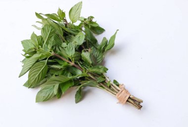 bunch fresh green raw Sweet Basil (Ocimum basilicum var. thyrsiflora) leaves It has a spicy taste for Cooking isolated on white backdrop.Concept of vegetables and herbs for health clipart