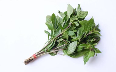 Bir demet taze çiğ tatlı fesleğen (Ocimum Basilicum var. Thyrsiflora yaprakları) Beyaz arka planda izole edilmiş baharatlı bir yemek yapma zevkine sahiptir. Sebze kavramı ve sağlık için şifalı otlar.