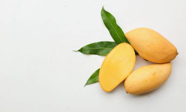 olgun sarı mango altın, mango nam dok mai mango, barakuda mango (mangifera indica) beyaz bir arka planda yapraklarla ikiye bölünmüş meyve kralı. Tropikal egzotik meyve ve sağlıklı meyve