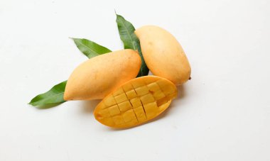 olgun sarı mango altın, mango nam dok mai mango, barakuda mango (mangifera indica) beyaz bir arka planda yapraklarla ikiye bölünmüş meyve kralı. Tropikal egzotik meyve ve sağlıklı meyve