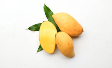 olgun sarı mango altın, mango nam dok mai mango, barakuda mango (mangifera indica) beyaz bir arka planda yapraklarla ikiye bölünmüş meyve kralı. Tropikal egzotik meyve ve sağlıklı meyve
