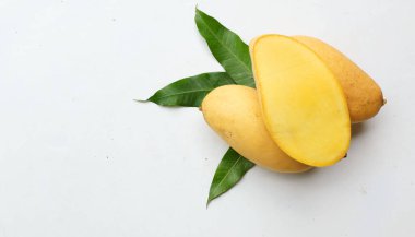 olgun sarı mango altın, mango nam dok mai mango, barakuda mango (mangifera indica) beyaz bir arka planda yapraklarla ikiye bölünmüş meyve kralı. Tropikal egzotik meyve ve sağlıklı meyve