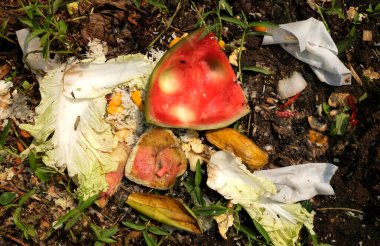 Organik atıklar, gübre yapımında kullanılan gıda atıkları. Sebze atıkları.