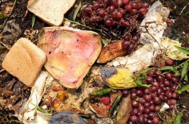 Organik atıklar, gübre yapımında kullanılan gıda atıkları. Sebze atıkları.