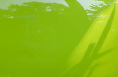 Close up detail green modern car Yellow lime green,neon green,Bright neon abstract background.with space for design. Gradient. Lime color, Bright, Colorful. clipart