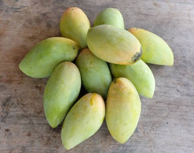 ripe yellow mango golden mango,yellow mango ,golden nam dok mai mango ,barracuda mango ( mangifera indica) king of fruits isolated on a wooden table background.tropical fruit in thailand