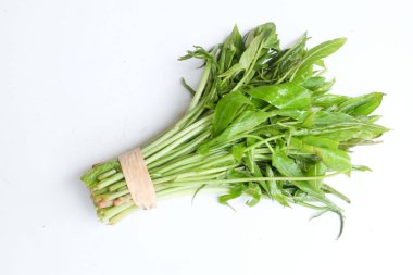 Bundle of fresh raw a  ( Lasia spinosa ) isolate on a white backdrop. Fresh leafy green vegetable. Asian ingredient. Healthy vegetarian food clipart