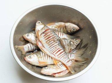 Taze çiğ sazan balığı, haçlı sazan balığı (Barbonymus gonyonotus) paslanmaz çelik bir havuzda yemek malzemelerini alın.