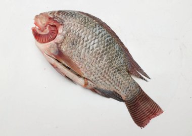 Taze çiğ Tilapia balığı Oreochromis niloticus (Linn.) Beyaz bir arkaplanda izole et. Yemek malzemelerini alın. Sağlıklı beslenmeye hazırlanın.