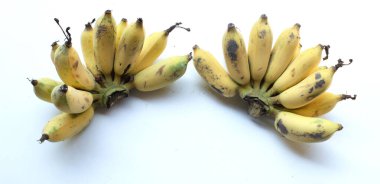 Bir grup olgun ve sarı muz, altın ekili muz, Kluay Namwa, (Musa sapientum L.) beyaz bir arka planda izole edilir. Sağlıklı tropikal gıda ve meyve fikirleri