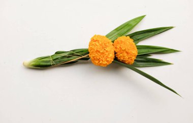  Bir demet kadife çiçeği. Sarı çiçekler ve yeşil yapraklar panda beyaz bir zeminde izole edilir. Tapınakta ibadet için çiçekler Lord Buddha