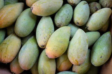 Mango yeşil ve sarı meyveli Tayland 'ı kapatın.