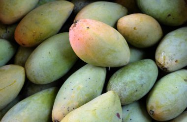 Mango yeşil ve sarı meyveli Tayland 'ı kapatın.