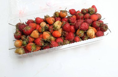 Taze, parlak, olgun çilek yığınları (fragaria x ananassa duchesne), beyaz bir arka planda izole edilmiş, şeffaf bir plastik kutunun içinde..