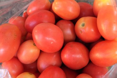 Taze bir organik, sulu, sulu domates olan Seeds Tomato 'yu (Solanum lycopersicum) kapatın. Bahçe ve tarım, sağlıklı meyve ve sebze kavramı