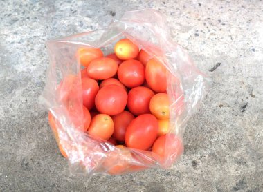 Taze bir organik kırmızı sulu domates olan Tomato 'yu (Solanum lycopersicum) Asyalı bir kadının eline kapat. Bahçe ve tarım, sağlıklı meyve ve sebze kavramı