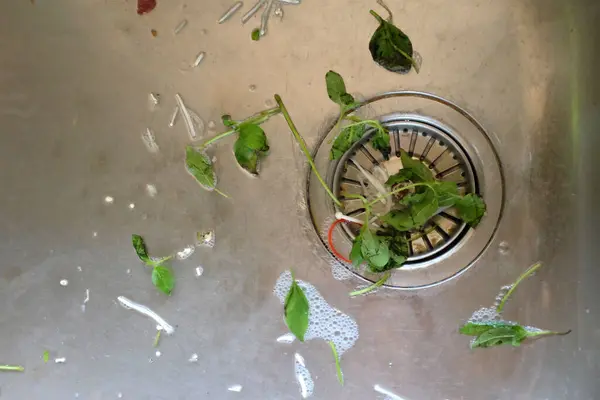 Atık bir sebzeyi kapatmak, yeşil yaprak kırıntıları mutfak giderindeki tıkanmış boruya neden olur.