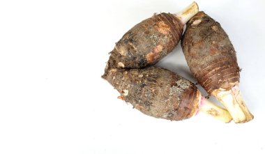Taze çiğ organik Taro kökü, taro mis kokulu, (colocasia esculenta) büyük bir baş türüdür. Beyaz bir sırt damlası üzerinde izole edilmiş hoş bir koku vardır. Taro kökü yemek pişirmeye ve sağlıklı tatlılar yapmaya hazırdır.