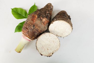 Taze çiğ organik Taro kökü, taro kokulu, (colocasia esculenta) bütün ve yarım ve yeşil yaprak büyük bir baş tipi. Hoş bir koku izolasyonu beyaz bir arka damlada izole edilmiş. Taro kökü yemek pişirmeye hazır. 