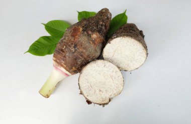 Taze çiğ organik Taro kökü, taro kokulu, (colocasia esculenta) bütün ve yarım ve yeşil yaprak büyük bir baş tipi. Hoş bir koku izolasyonu beyaz bir arka damlada izole edilmiş. Taro kökü yemek pişirmeye hazır. 