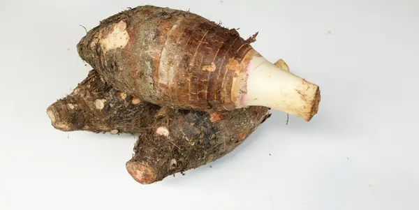 stock image Fresh raw organic Taro root ,taro fragrant ,(colocasia esculenta) is a large head type.with a pleasant smell isolate on a white backdrop.taro root ready to cooking food and Healthy desserts